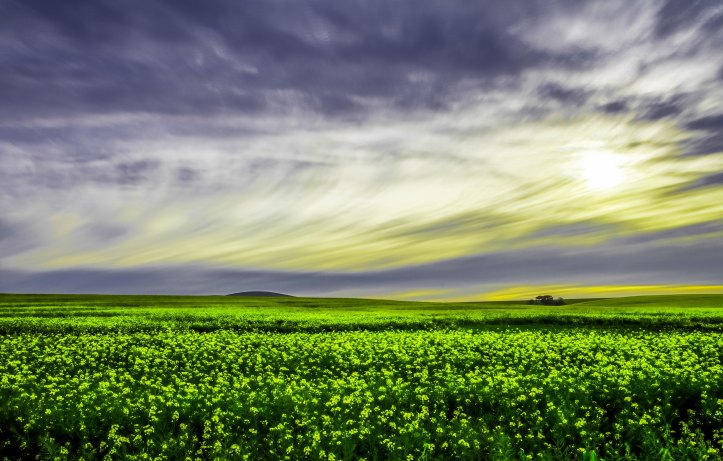 gaston-roulstone-473478-unsplash