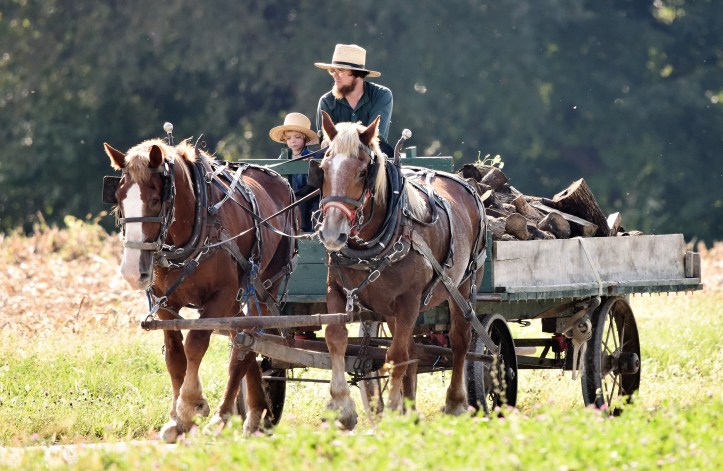 randy-fath-1082141-unsplash